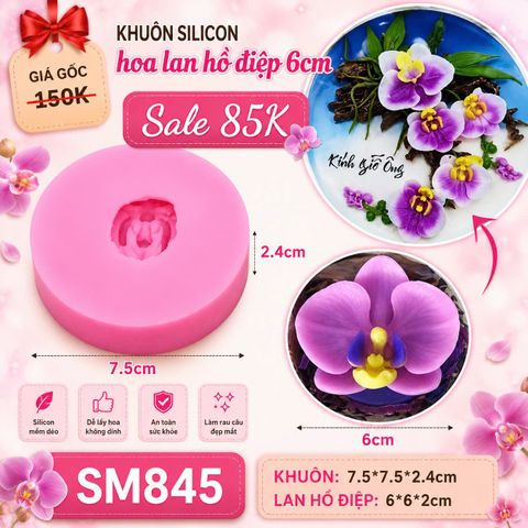 Khuôn silicon hoa lan hồ điệp 6cm ( SM845 )