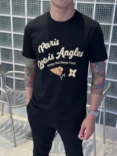  HĐ ANT B.Caras Hình Vỏ Ốc 