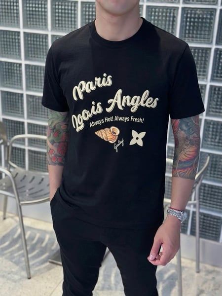  HĐ ANT B.Caras Hình Vỏ Ốc 