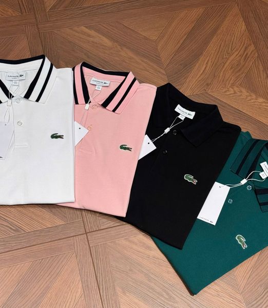  Polo SC Lacoste Cải Cổ Logo Ngực 