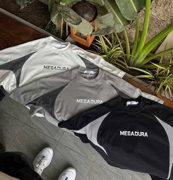  ANT QC XT 6617 Cải Vai 