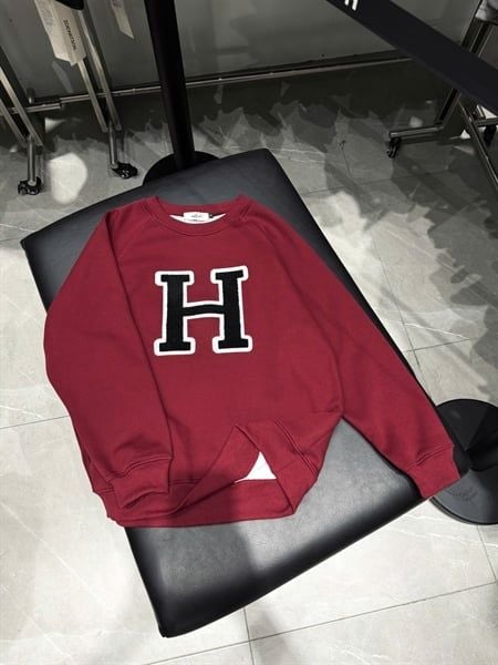  [ẢNH THẬT] Áo Dài Tay Nỉ Nam Nữ Thêu Chữ H 3388 