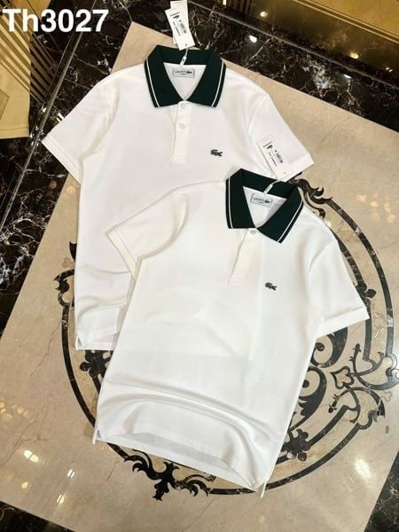  Polo SC Lacoste Phối Cổ 26 
