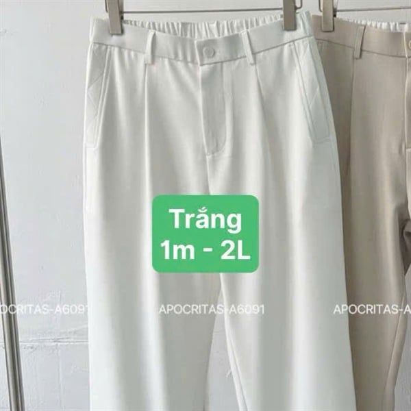  HĐ Quần Âu Suông QC 6091 Trơn 