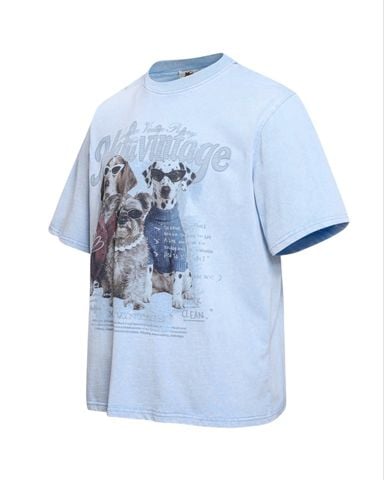  ÁO T-SHIRT 0295 XANH DƯƠNG 