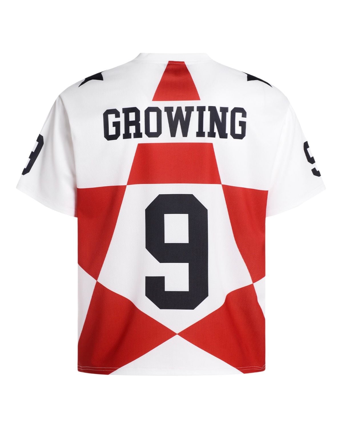  ÁO T-SHIRT 590 TRẮNG 