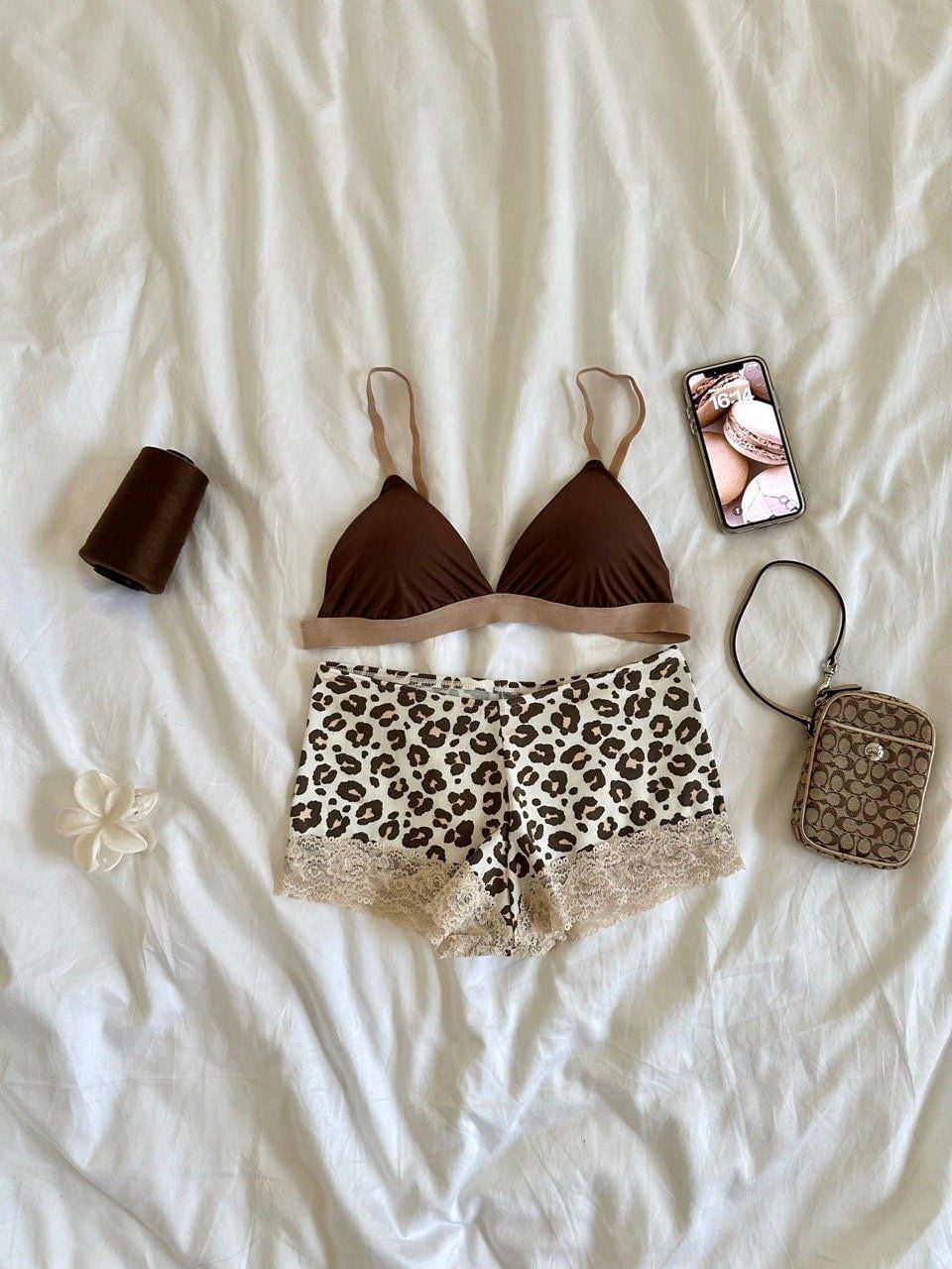 Áo KBG Chui Brownie *Premium