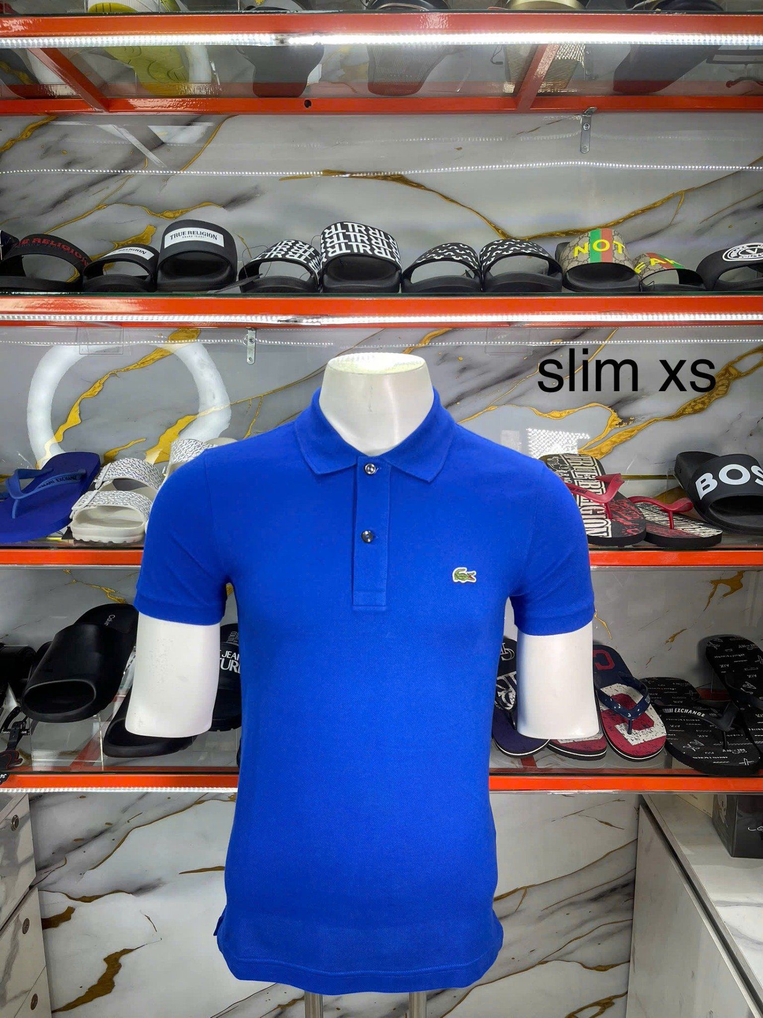 Áo Polo Lacoste Xanh Dương Cá Nhỏ - New - PH4012 00 JQ0 - TC05