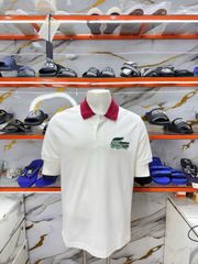 Áo Polo Lacoste Trắng Cổ Đỏ - New - PH2102 10 NFB