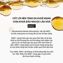 Bộ Dưỡng Da Ngừa Lão Hóa Chuyên Sâu The Whoo Bichup Ultimate Recovery NAD Discovery Set