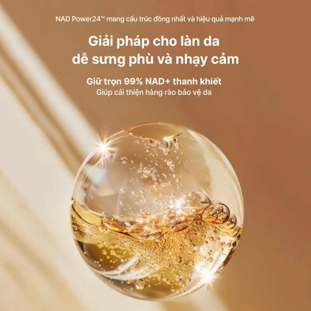 Set Tinh Chất Ngăn Ngừa Lão Hóa Whoo Bichup Treatment Essence Special Set