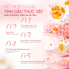 Dầu Gội Phục Hồi Dưỡng Ẩm Tóc Adolph Essential Oil Scented Shampoo Nourish & Repair 248ml