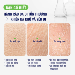 Kem Dưỡng Ẩm Cho Da Nhạy Cảm Cetaphil Moisturizing Cream 453g