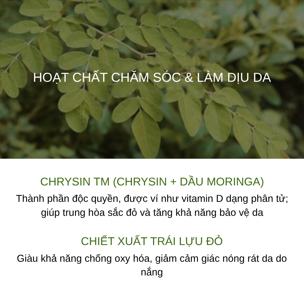 Kem Chống Nắng Ohui Day Shield Perfect Sun SPF50+ PA++++ 80ml