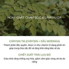 Kem Chống Nắng Ohui Day Shield Perfect Sun SPF50+ PA++++ 80ml