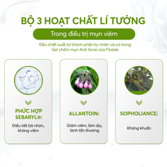 Gel Chấm Mụn Floslek Anti Acne 24h System Spot Gel For Imperfections 20ml
