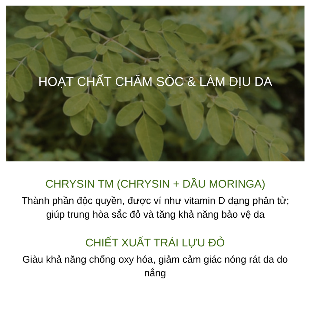 Bộ Sản Phẩm Chống Nắng Dưỡng Da Ohui Day Shield Perfect Sun Red 4PCS Set