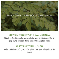 Bộ Sản Phẩm Chống Nắng Dưỡng Da Ohui Day Shield Perfect Sun Red 4PCS Set