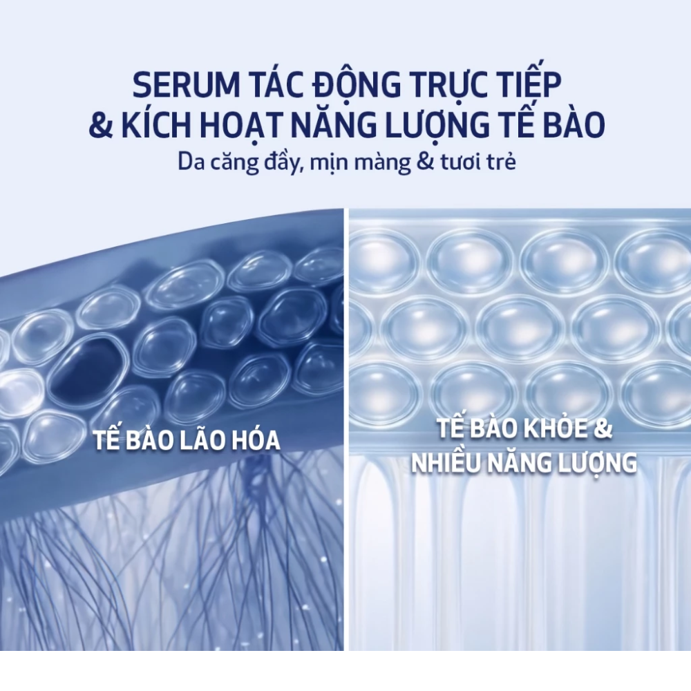 Tinh Chất Chống Lão Hóa Obagi Medical Nu-Gen Cellular Renewal Serum 30ml