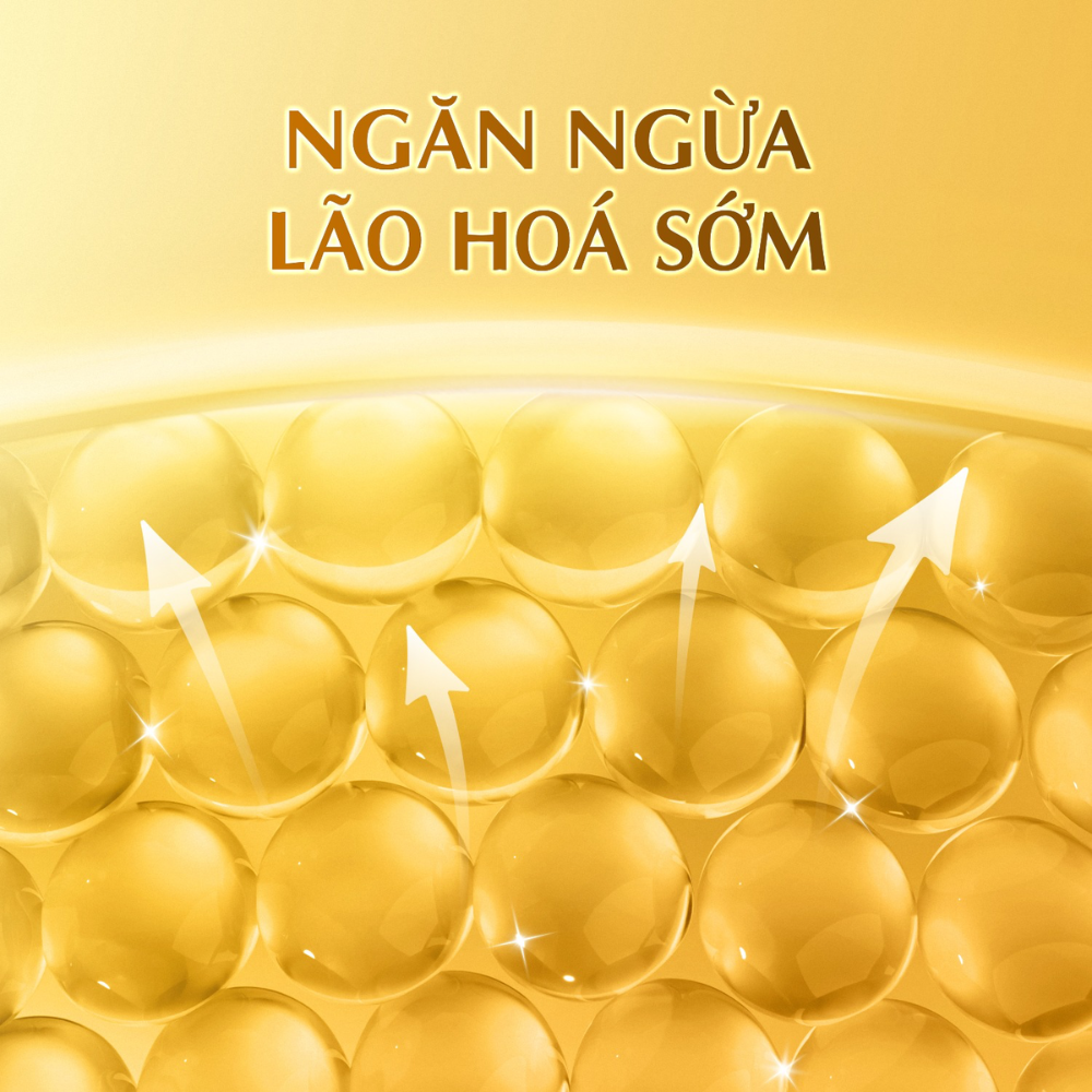 Dung Dịch Dưỡng Ẩm Da Tối Ưu Hada Labo Gokujyun Premium Lotion 170ml