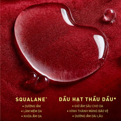 Son Kem Lì 3CE Velvet Lip Tint Plush 4g