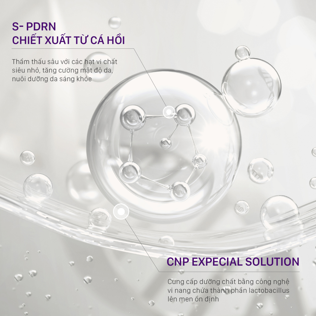 Tinh Chất Sáng Da Giảm Nếp Nhăn CNP Laboratory PDRN Derma+ Answer Active Boost Ampule 15ml