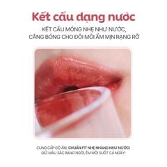 Son Tint Bóng Bbia Water Fit Tint 4g