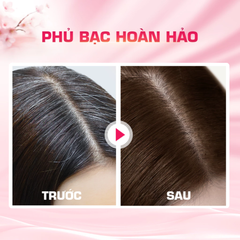 Thuốc Nhuộm Tóc Phủ Bạc Dạng Kem Bigen Speedy Hair Color Conditioner 80ml