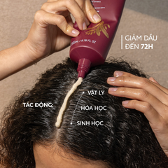Tẩy Da Chết Da Đầu Chiết Xuất Bồ Kết Cocoon Gleditsia Scalp Scrub 200ml