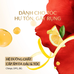 Dầu Gội Phục Hồi & Ngăn Gãy Rụng Tsubaki Premium Ex Hair Fall Care & Repair Shampoo 450ml