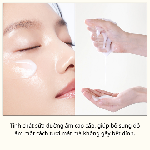 Mặt Nạ Dưỡng Da Mediheal Essential Mask 24ml
