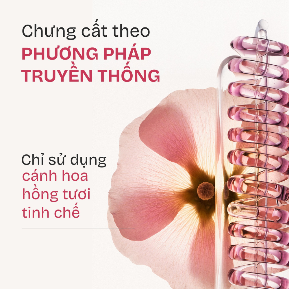Dầu Gội Làm Sạch Cho Tóc Dầu Nhờn Adolph Essential Oil Scented Shampoo Purify & Refresh 248ml