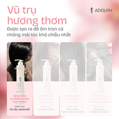 Dầu Gội Làm Sạch Cho Tóc Dầu Nhờn Adolph Essential Oil Scented Shampoo Purify & Refresh 248ml