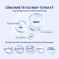Tinh Chất Chống Lão Hóa Obagi Medical Nu-Gen Cellular Renewal Serum 30ml