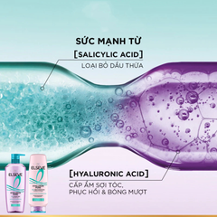 Dầu Gội Giúp Tóc Bồng Bềnh Cho Da Dầu Loreal Hyaluron Pure 72H Purifying Shampoo 620ml