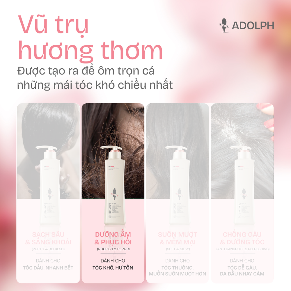 Dầu Gội Phục Hồi Dưỡng Ẩm Tóc Adolph Essential Oil Scented Shampoo Nourish & Repair 248ml