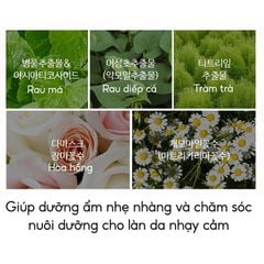 Kem Chống Nắng Giảm Dầu Giúp Da Sáng The Saem Pink Sun Cream EX SPF50 PA++++ 50g