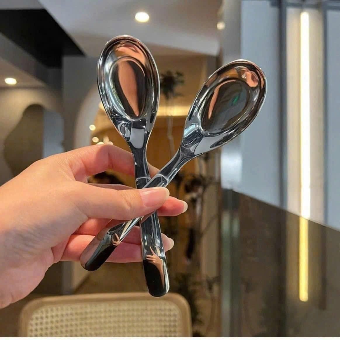 Set 6 thìa cổ vịt inox 316