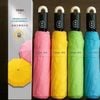 Ô chống UV Tewa Japan