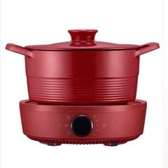 Bếp từ đơn Zwilling 26cm