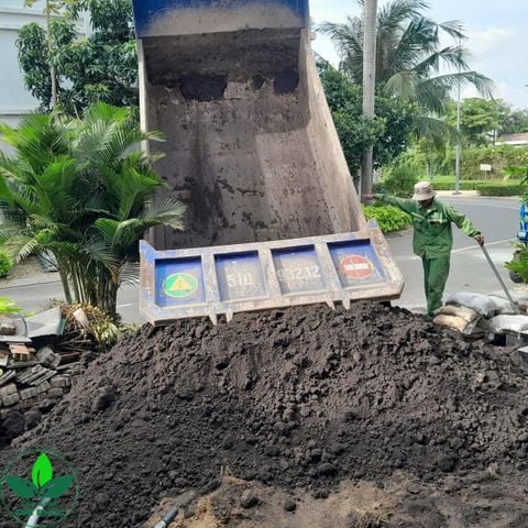 Đất thịt và đất đỏ khác nhau như thế nào? Thành phần dinh dưỡng và cây trồng phù hợp