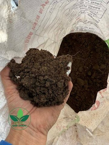 ĐẤT THỊT LÀ GÌ? Thành phần, công dụng, phân loại và giải đáp các thắc mắc thường gặp