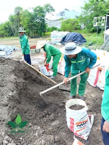 Đất Thịt Tự Nhiên Đóng Bao 30Kg - Có Khác Gì Đất Giao Xe Ben?