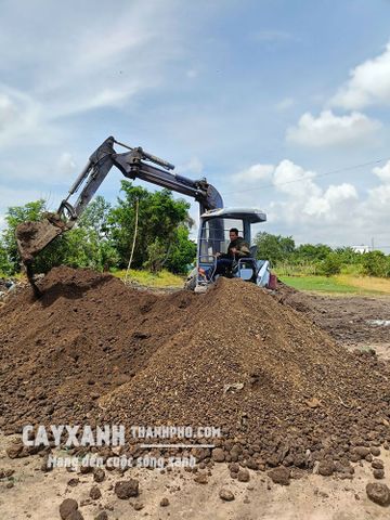 Đất Trộn Trồng Cây Theo Yêu Cầu – Đúng Thành Phần, Đúng Tỷ Lệ