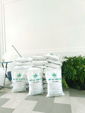 Đất Trồng Cây Trộn Sẵn – Giải Pháp Tiện Lợi Cho Sân Vườn, Chậu Cây Và Cây Ăn Trái
