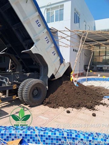 Quy trình lấy đất thịt trồng cây: Nguồn gốc – Cách khai thác – Hành trình đất đến tay khách hàng