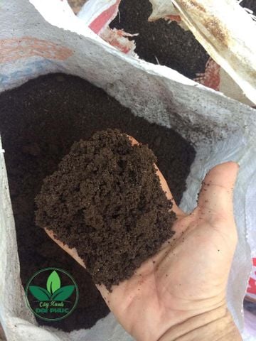 Phân Trùn Quế Nguyên Chất – Dinh Dưỡng Tự Nhiên Cho Mọi Loại Cây