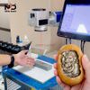 Máy Khắc Laser Fiber 2.5D | Chuyên Khắc Đá, Công Suất 100W