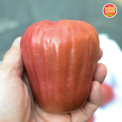 Mận hồng Sóc Trăng MST - 1kg