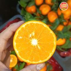 Quýt vàng Nội địa Trung - kg